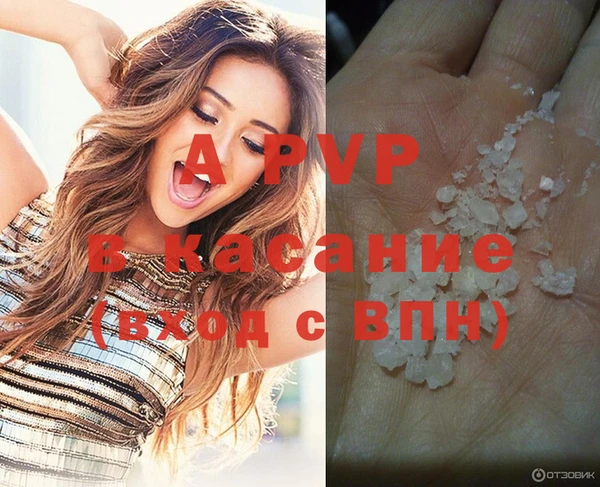 стафф Богданович